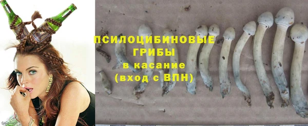 мяу мяу мука Алзамай