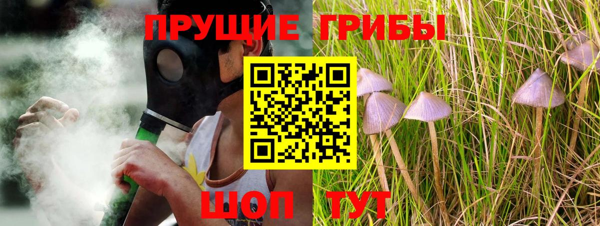 Курск  Псилоцибиновые грибы Psilocybine cubensis  Вход с VPN 